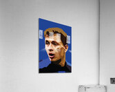 nicollo Acrylic Print