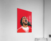 olise Acrylic Print
