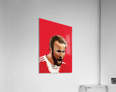 kane Acrylic Print
