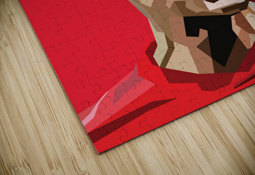 kimmich MRnldy25 puzzle