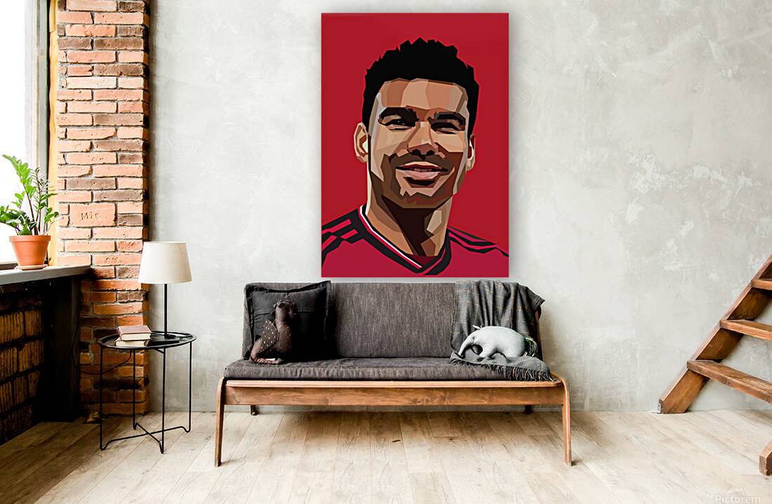 casemiro Reproduction