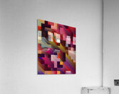 Hidden Worlds Acrylic Print
