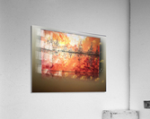 ELLENIS Acrylic Print