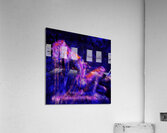 Meltdown Acrylic Print