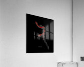 Ascend Acrylic Print