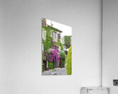 s3 Acrylic Print