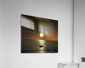 Moonwake Acrylic Print