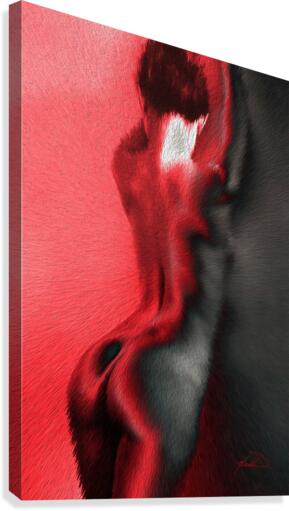The Shape of Fire Canvas Print