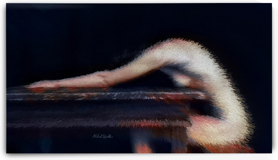  The Curve of Night by michael safieddine