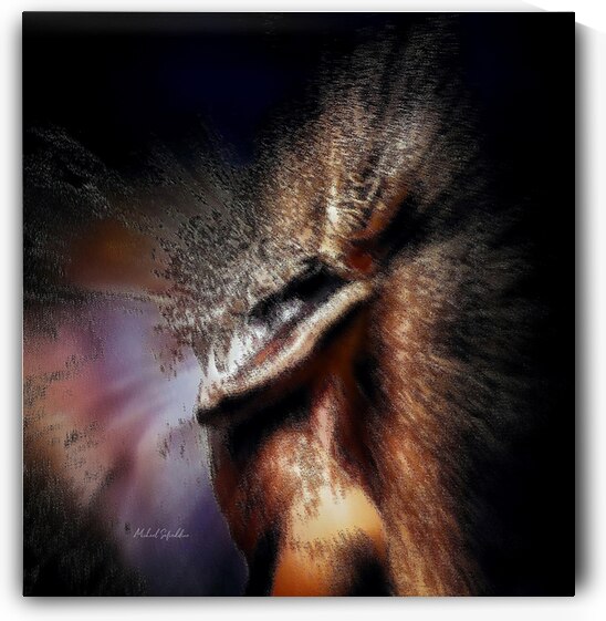 Full of Love by michael safieddine