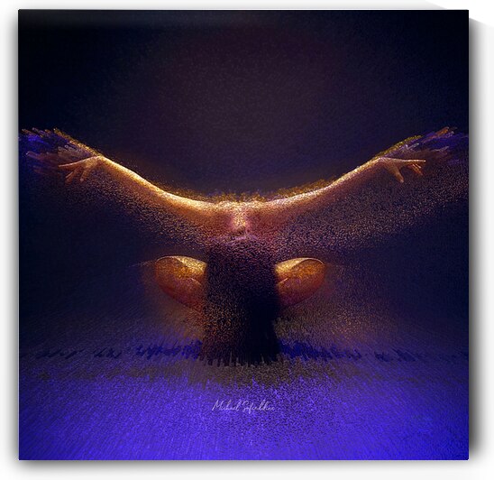 Take off by michael safieddine