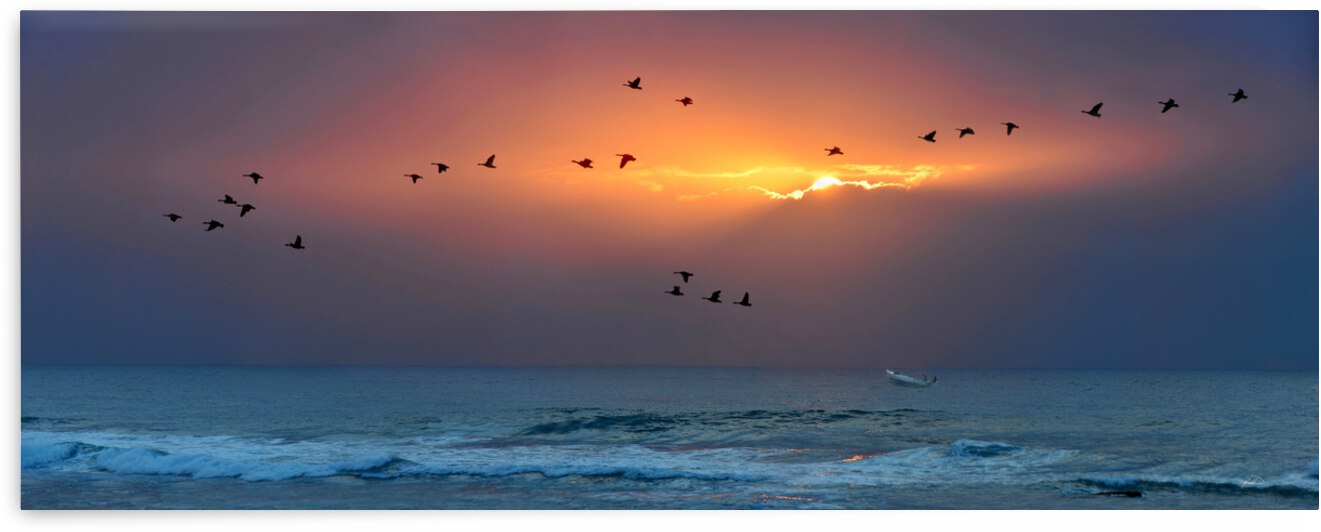  Last Light by michael safieddine
