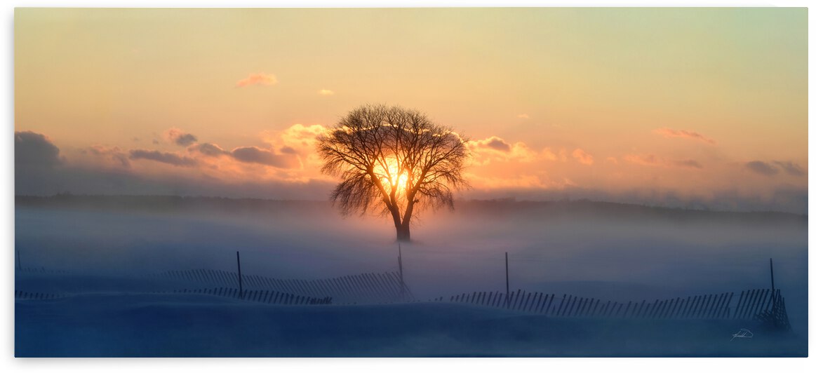 Frost and Fire by michael safieddine