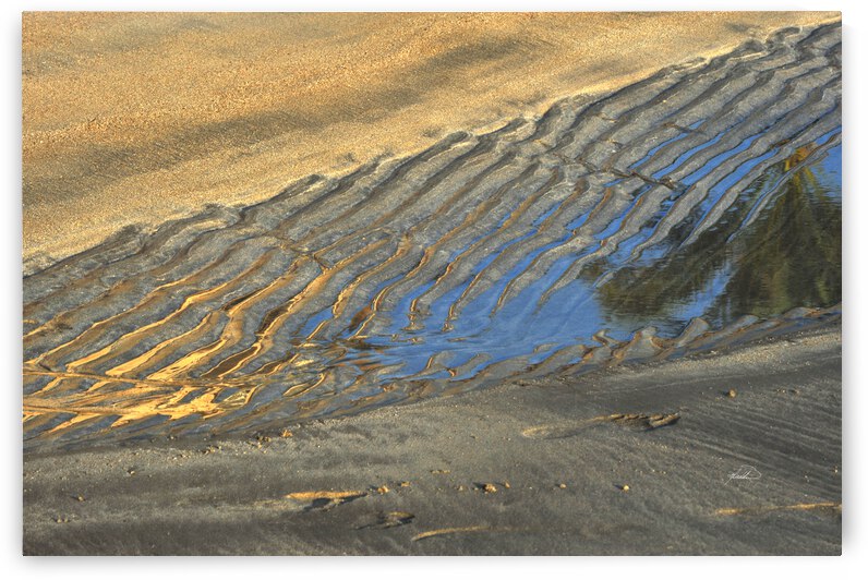 Shore Sketch by michael safieddine