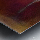 Her Radiant Form Metal print
