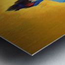 From Shadow to Flame Metal print