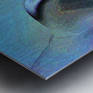 Contour Metal print