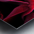 Velvet  Metal print