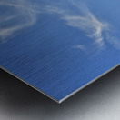 Skywater Metal print