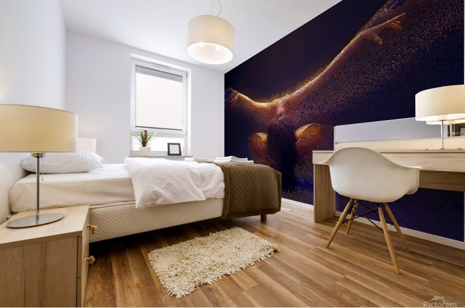 Take off Mural print
