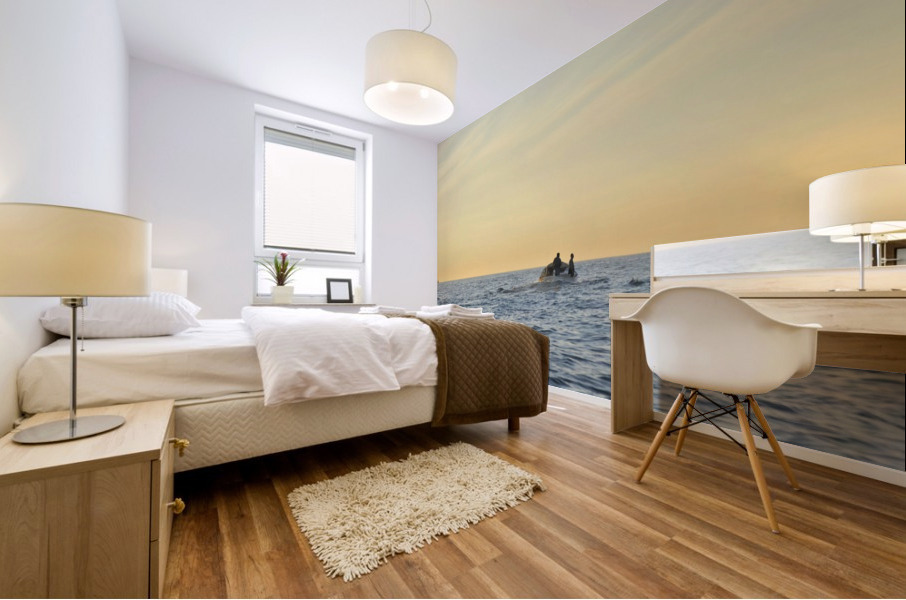 Toward the Light Mural print