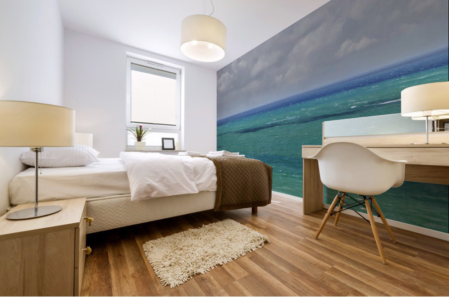 Horizons Mural print