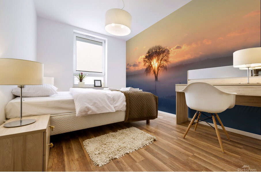 Frost and Fire Mural print
