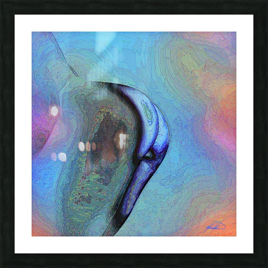 Contour Picture Frame print