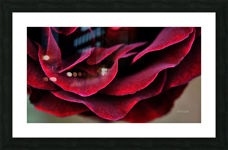 Velvet  Picture Frame print