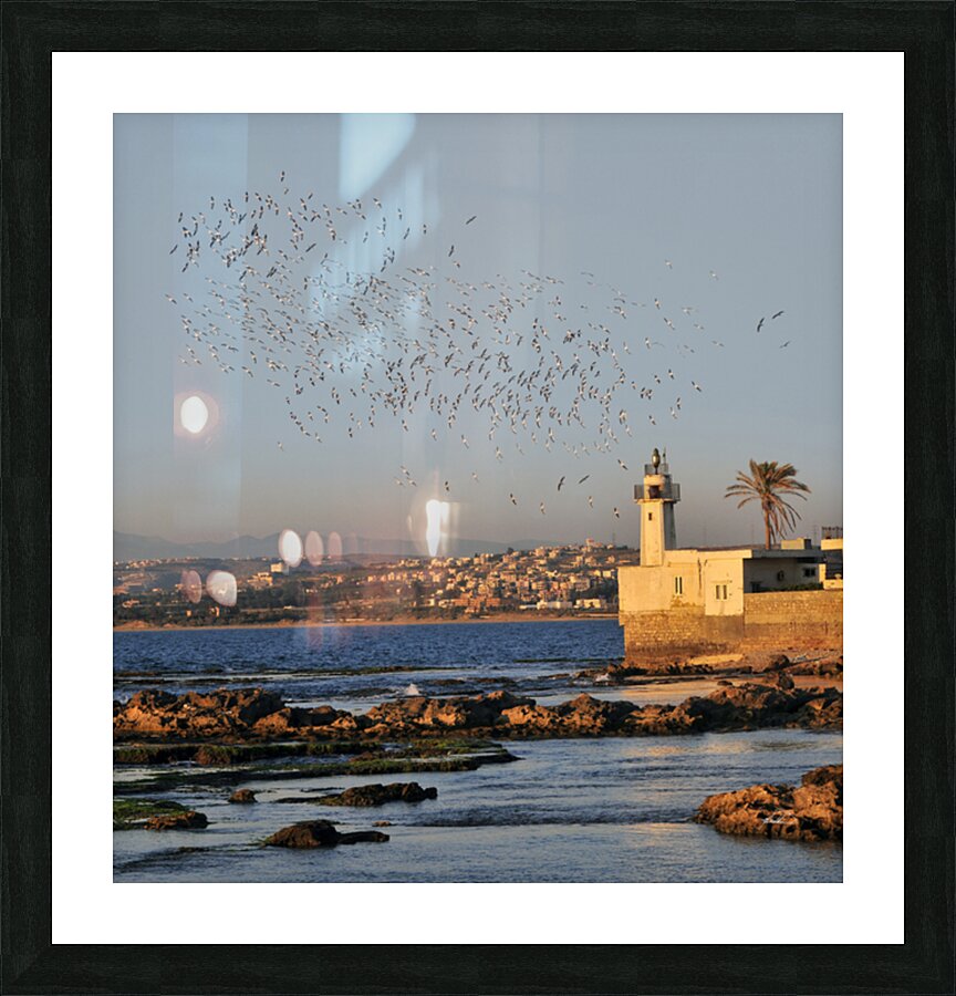 Lighthouse and Wings Picture Frame print
