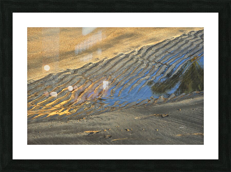 Shore Sketch Picture Frame print