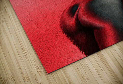 The Shape of Fire michael safieddine puzzle