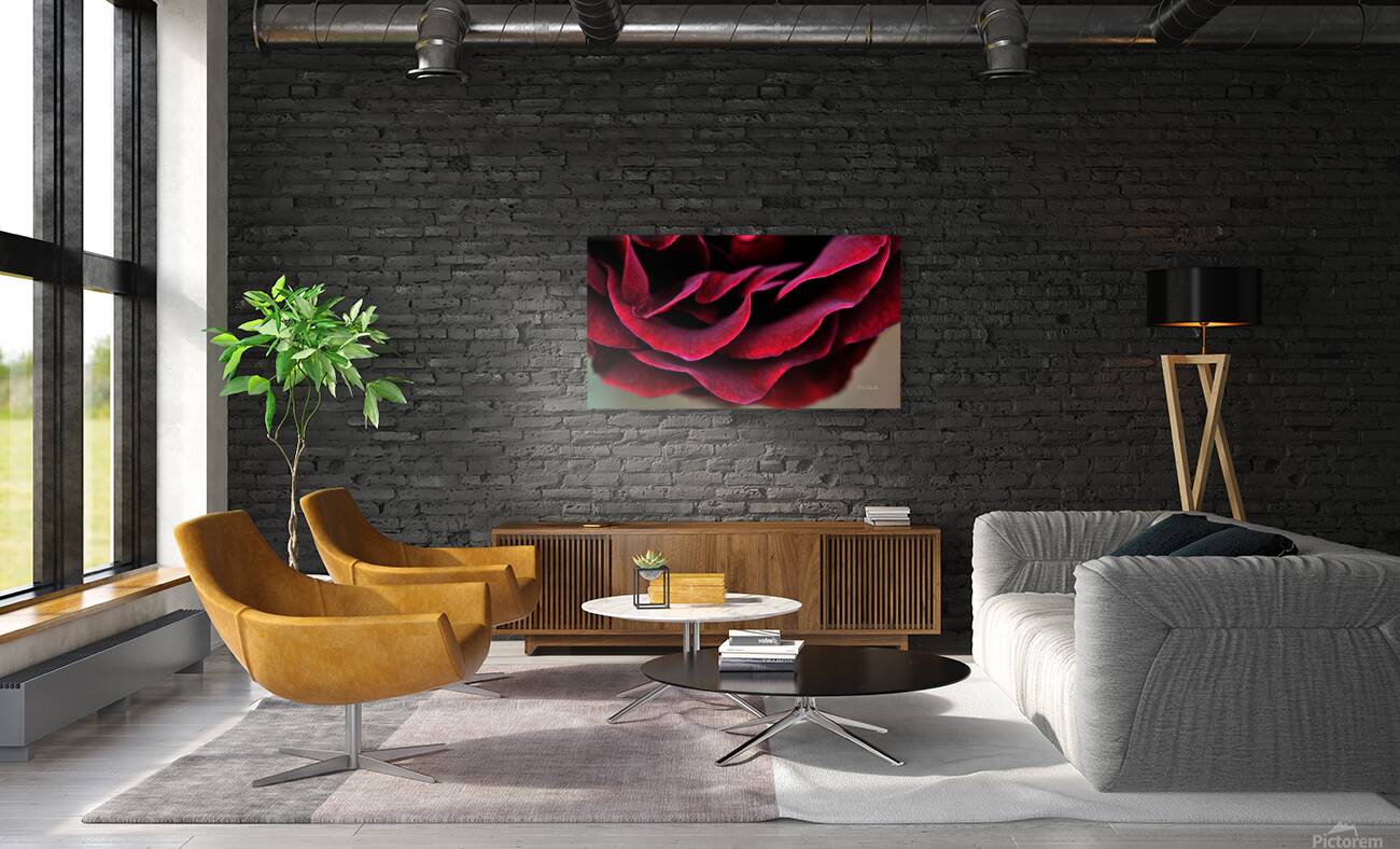 Velvet  Reproduction