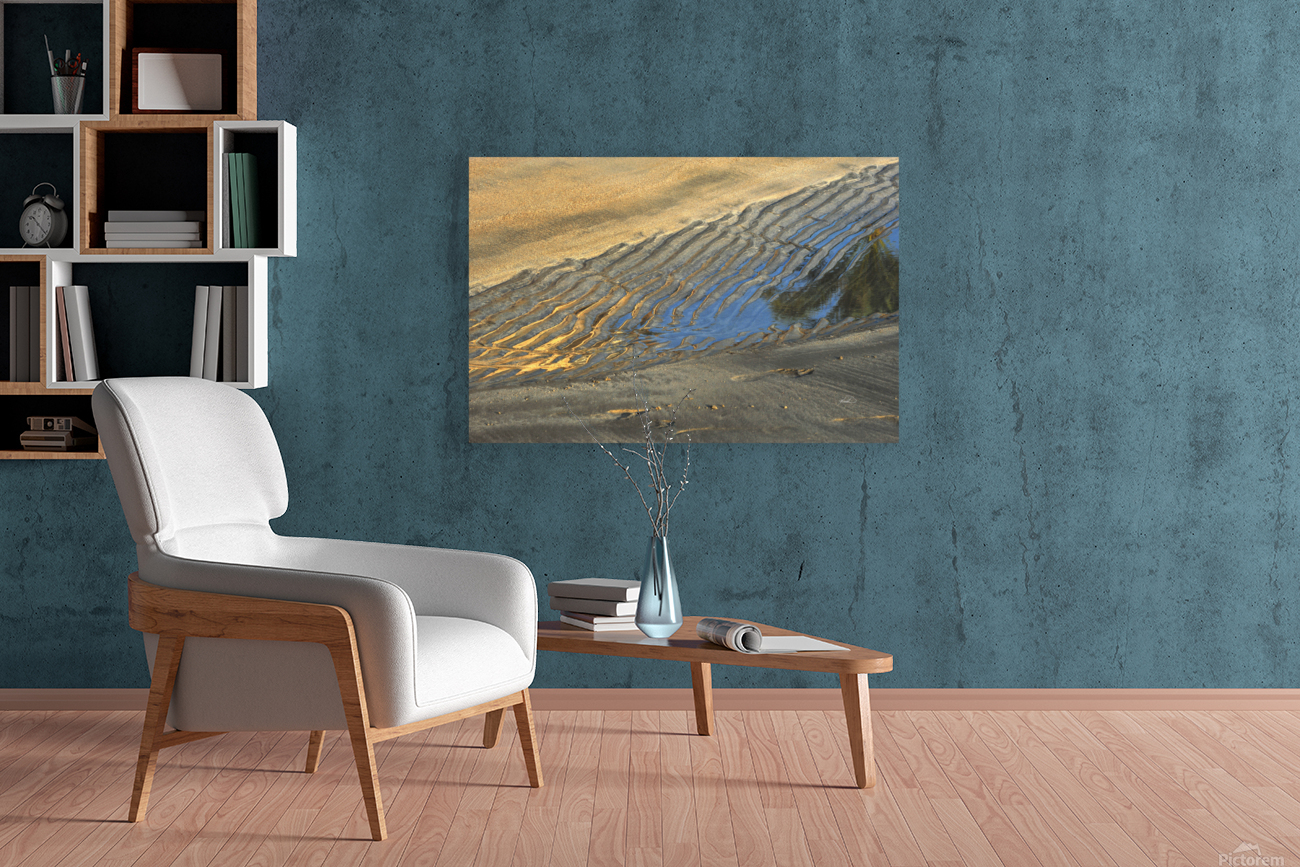 Shore Sketch Reproduction
