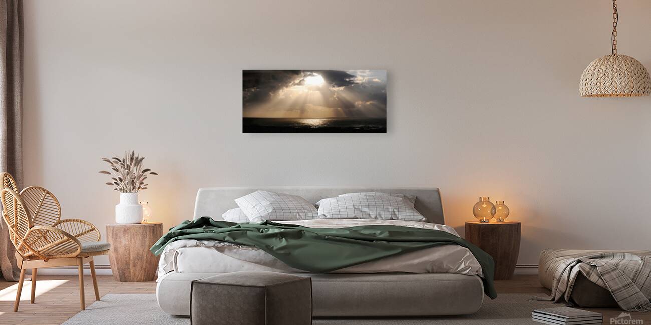 Divine Light Reproduction