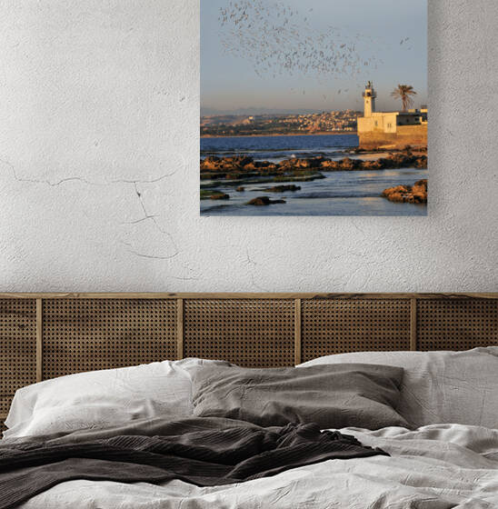 Lighthouse and Wings by michael safieddine