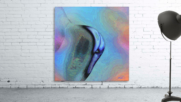 Contour Wall Preview