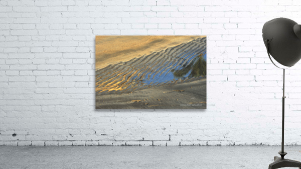 Shore Sketch Wall Preview