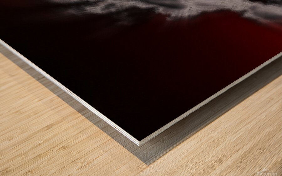 Possession Wood print
