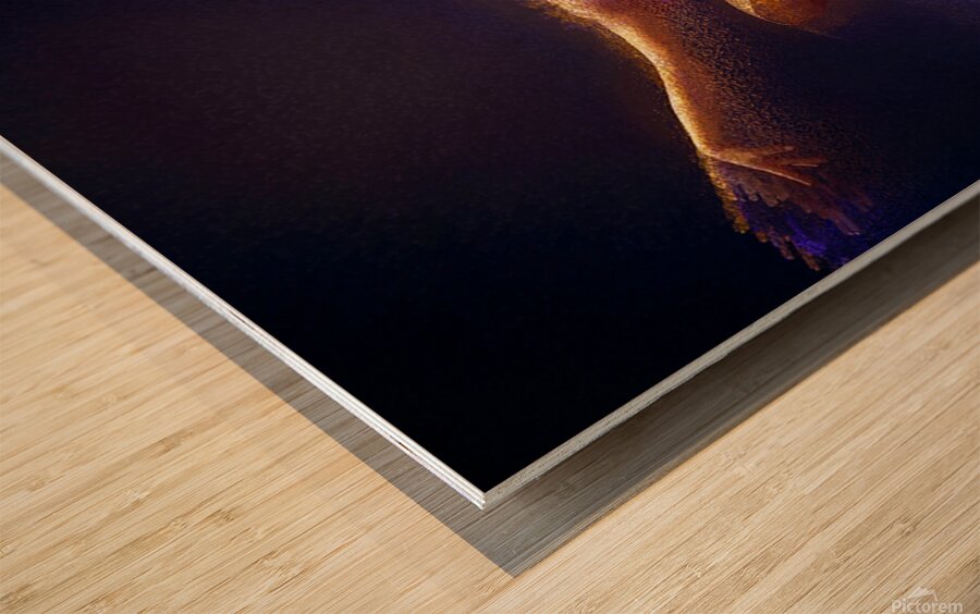Take off Wood print
