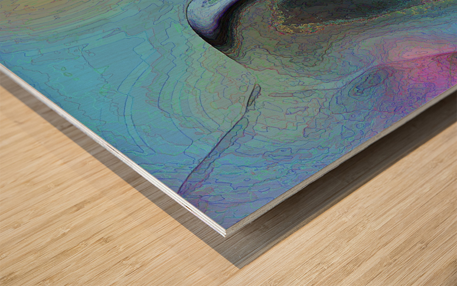 Contour Wood print