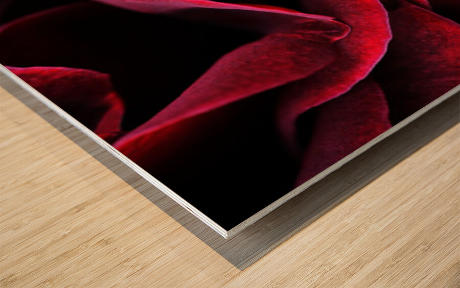 Velvet  Wood print