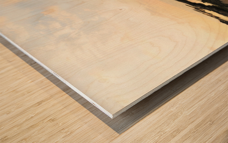 Origins Wood print