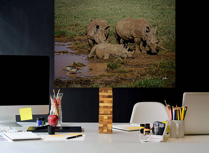 Rhinos in the Mud by Harts Adventure Photos