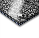 Branching Right Acrylic print