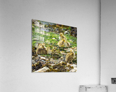 Goslings Acrylic Print