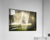 Summers Graveyard Acrylic Print