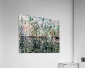 Forest Reflection Acrylic Print