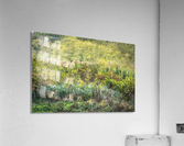 Green Opening Acrylic Print
