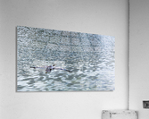 heron in flight  Acrylic Print